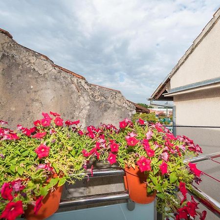 Lavi Lägenhet Zadar Exteriör bild